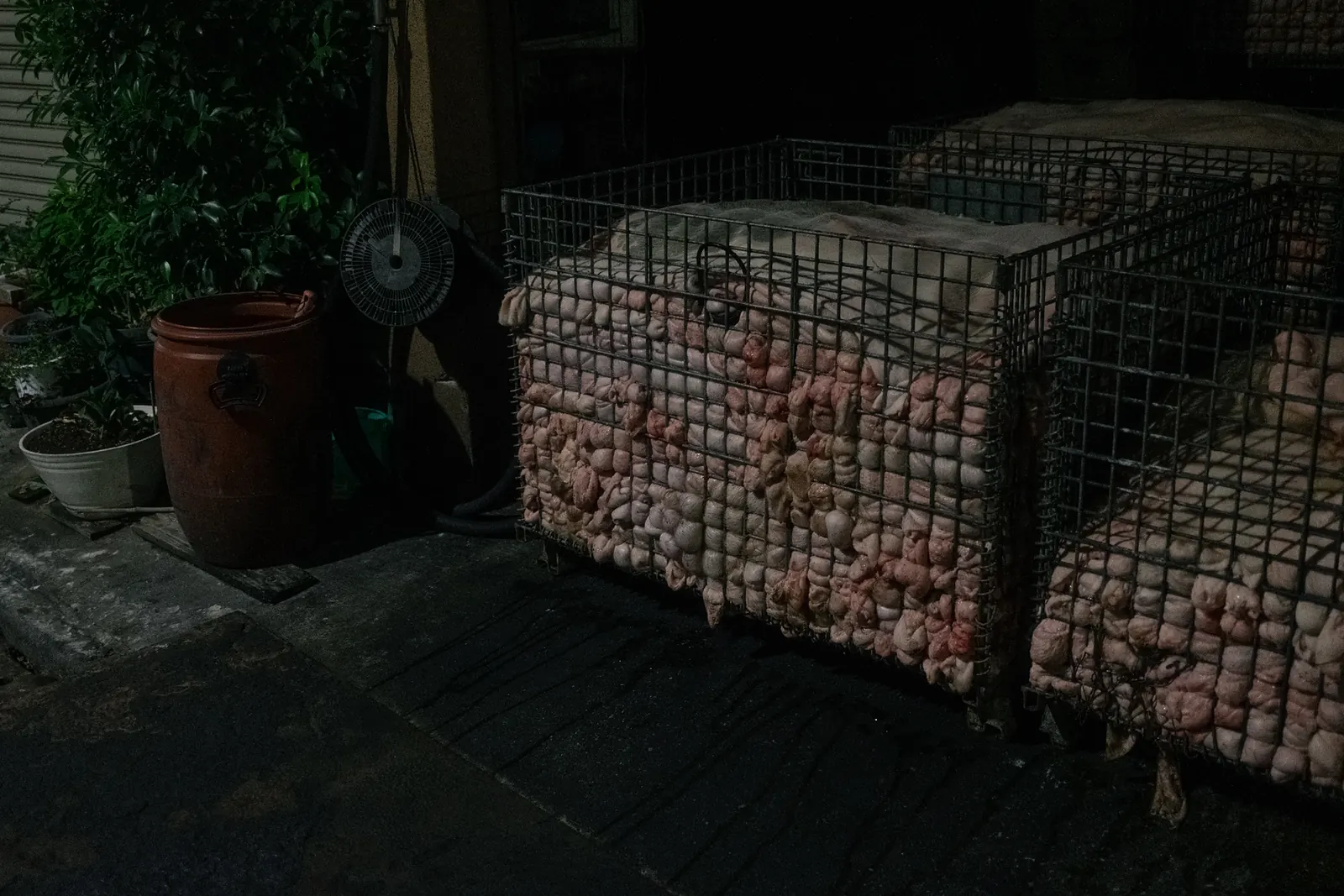 Wire cages filled with pale, pink-tinged material stacked outside a shuttered building at night.