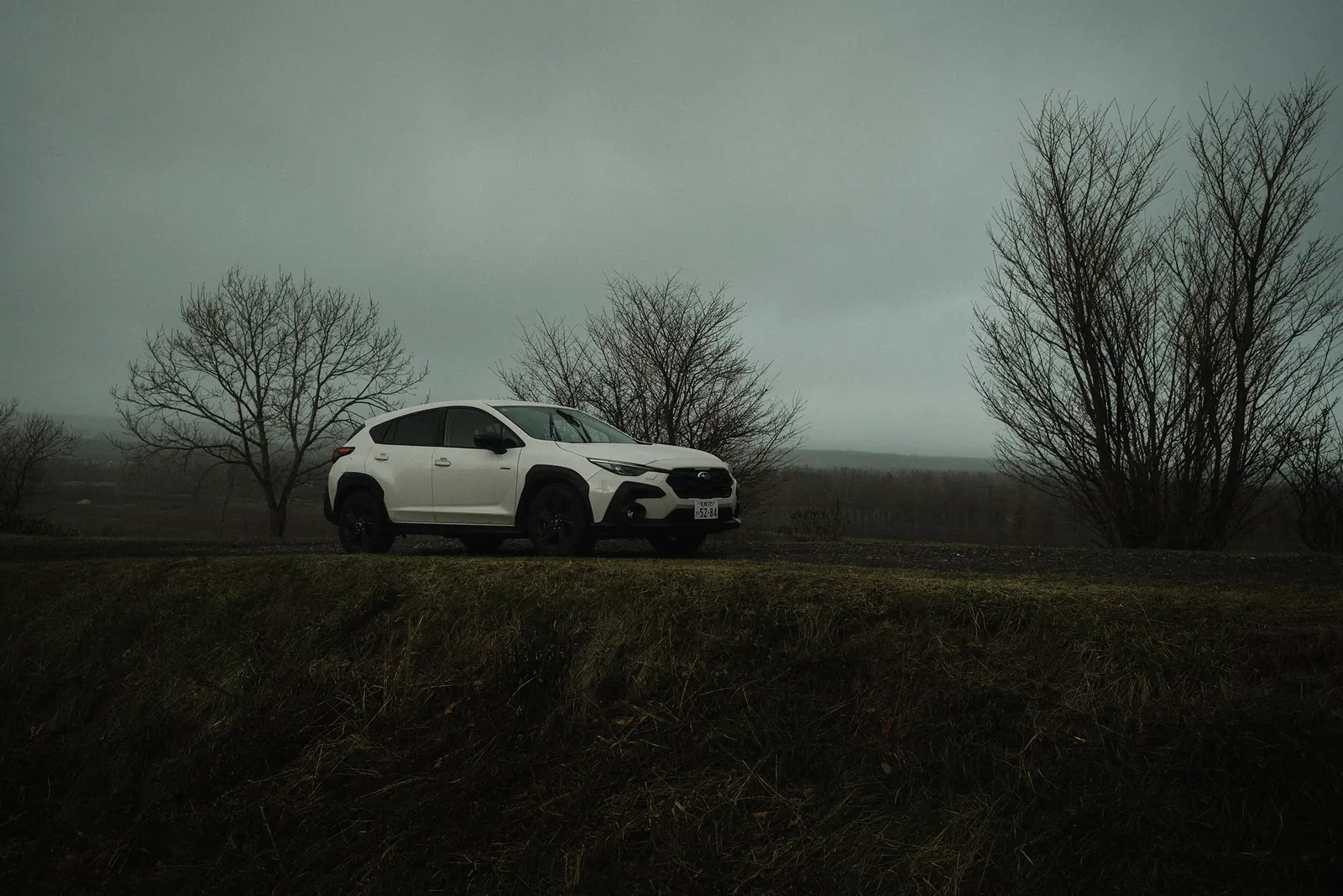 A white SUV parked on a rise between bare trees under a grey sky.