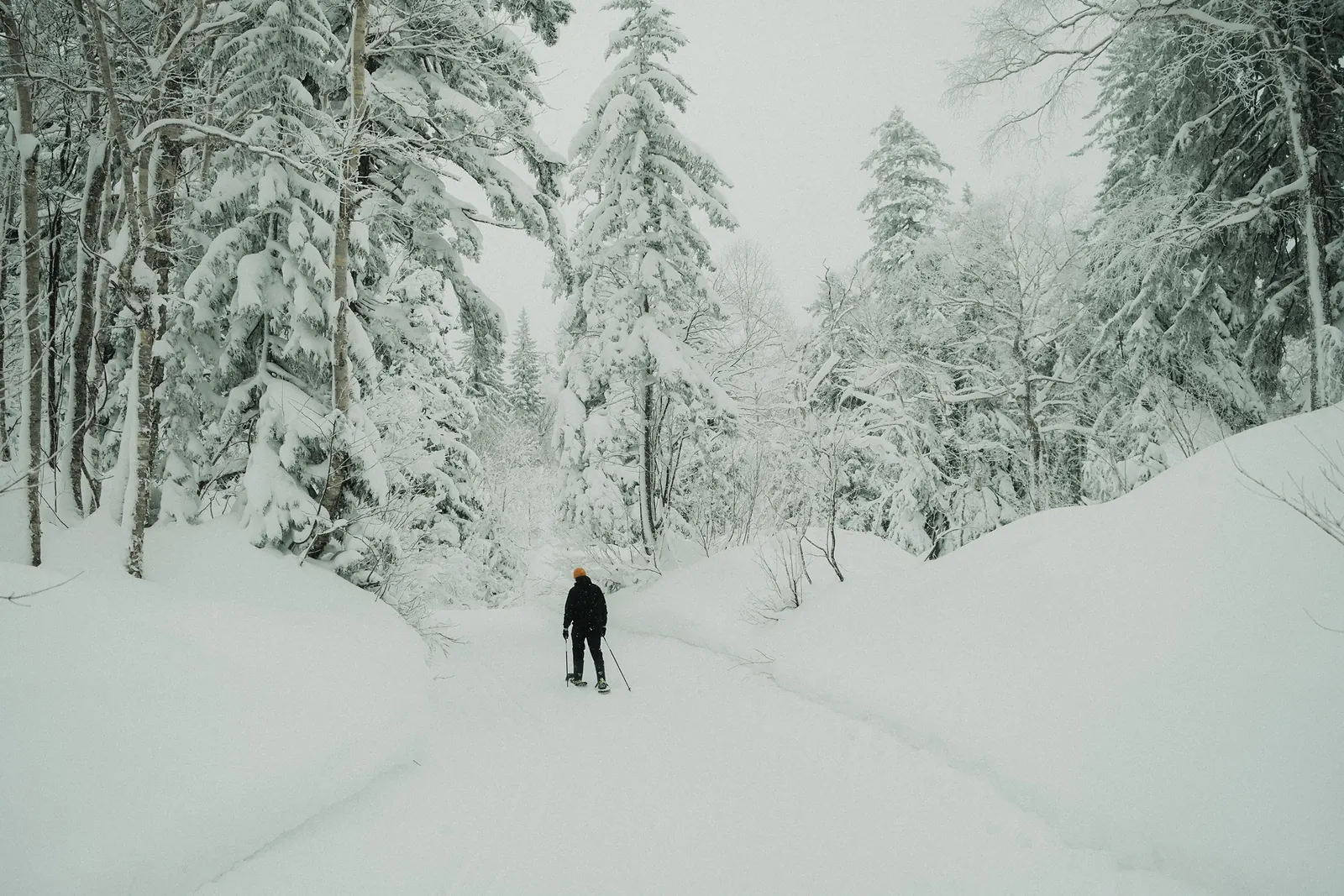 A person on snowshoes walking along a snowy forest road.