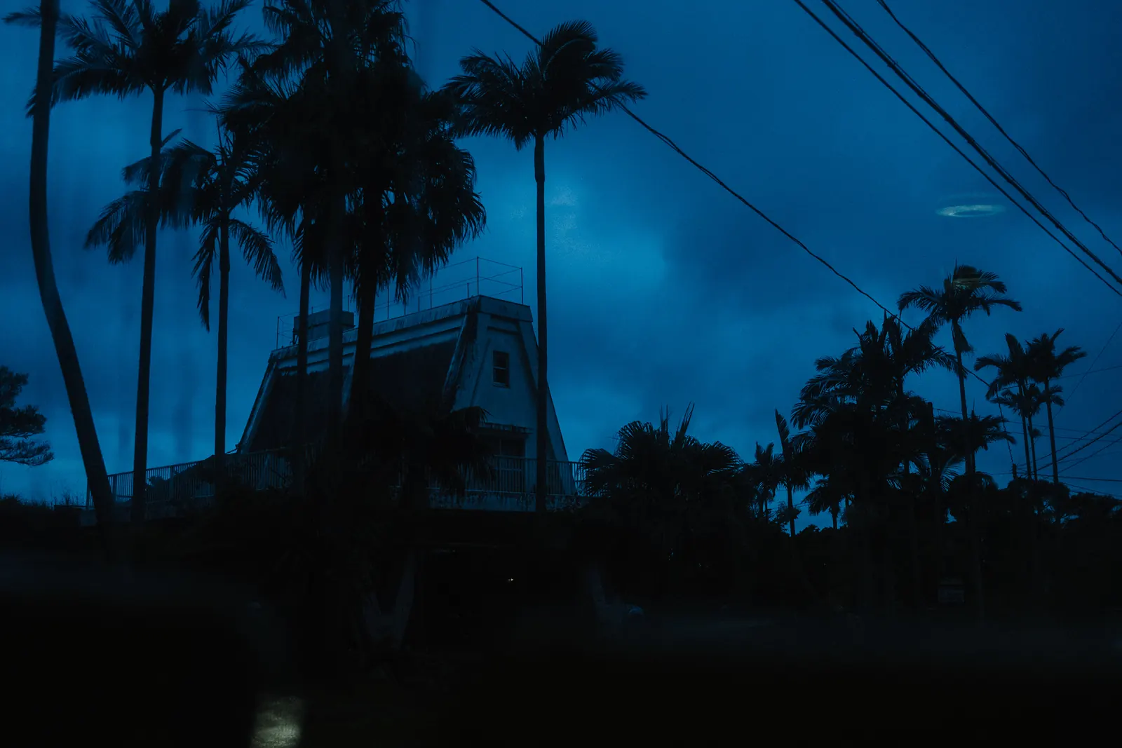Silhouetted palm trees and a small house under a deep blue evening sky.