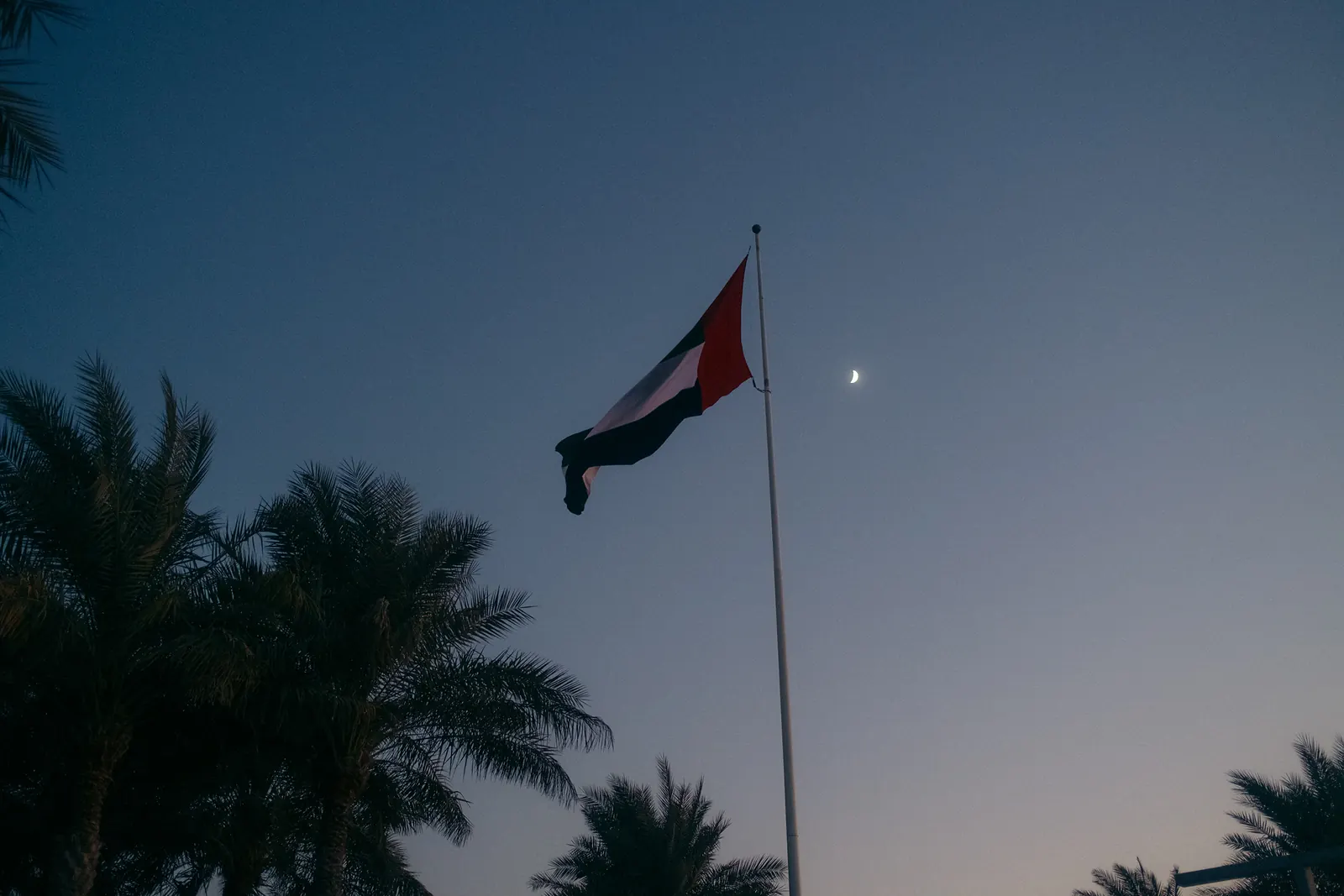 The UAE flag flying against a dusk sky with a crescent moon, palm trees below.
