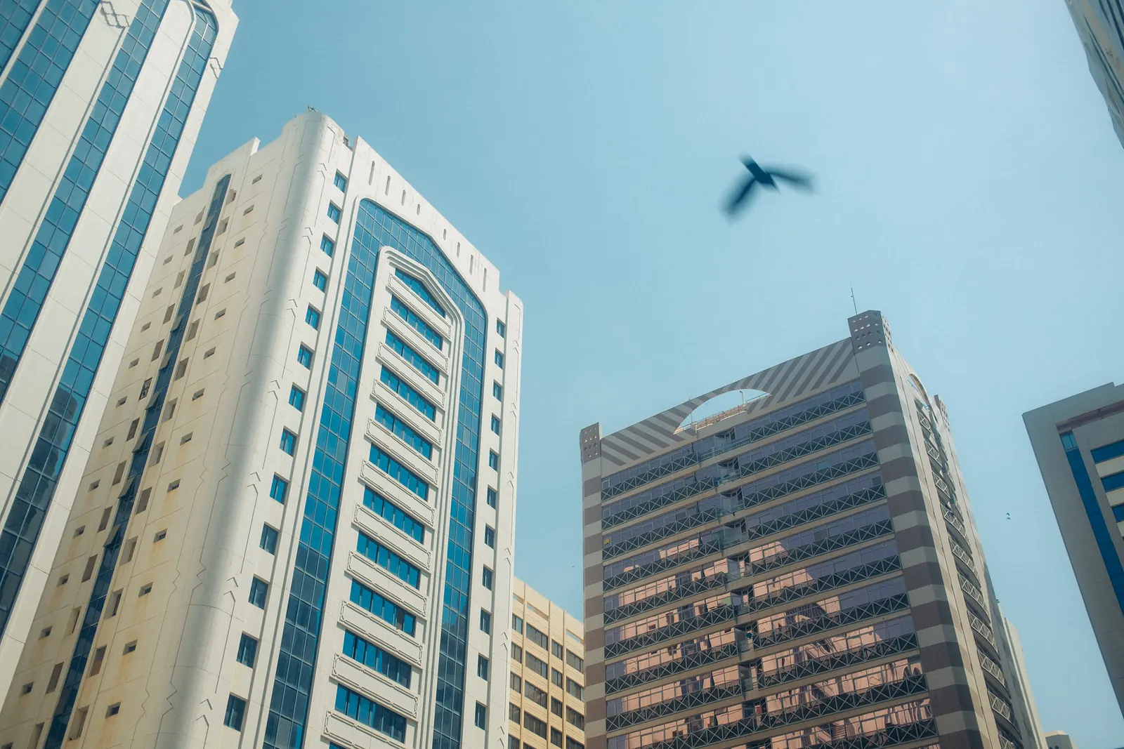 Looking up at downtown towers with a bird flying overhead against a clear sky.